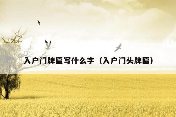 入户门牌匾写什么字(入户门头牌匾)