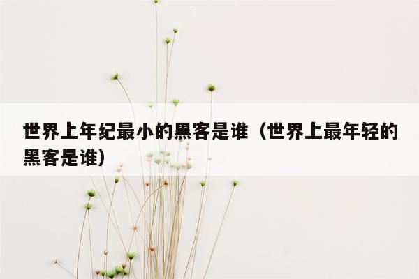 世界上年纪最小的黑客是谁(世界上最年轻的黑客是谁)