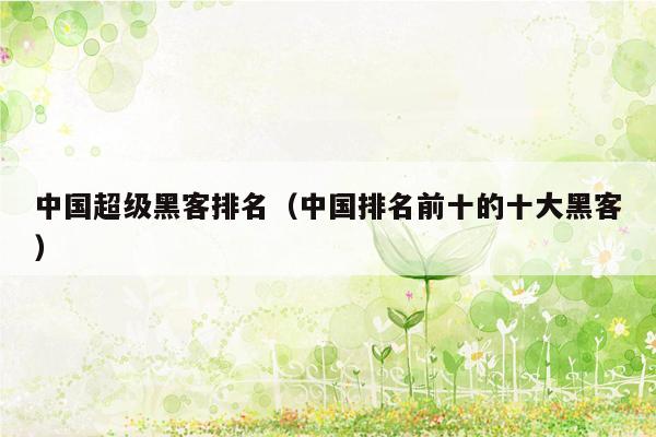 中国超级黑客排名(中国排名前十的十大黑客)