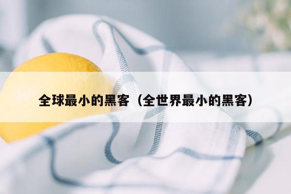 全球最小的黑客(全世界最小的黑客)