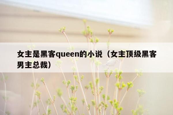 女主是黑客queen的小说(女主顶级黑客男主总裁)