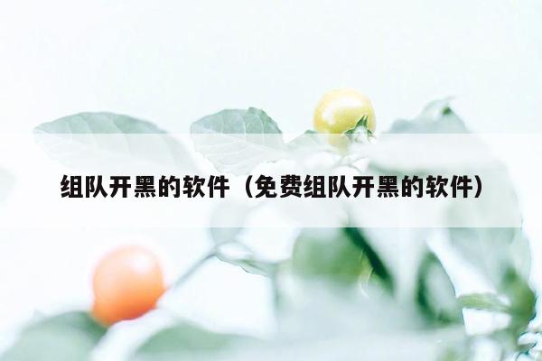 组队开黑的软件(免费组队开黑的软件)
