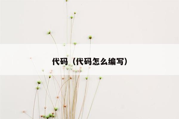 代码(代码怎么编写)