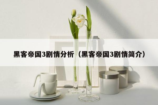 黑客帝国3剧情分析(黑客帝国3剧情简介)