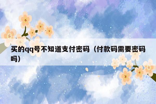 买的qq号不知道支付密码(付款码需要密码吗)
