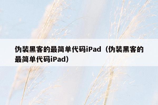 伪装黑客的最简单代码iPad（伪装黑客的最简单代码iPad）