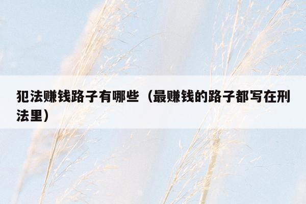 犯法赚钱路子有哪些(最赚钱的路子都写在刑法里)