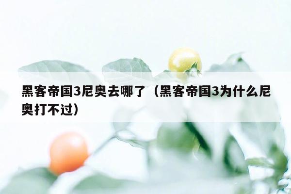 黑客帝国3尼奥去哪了(黑客帝国3为什么尼奥打不过)