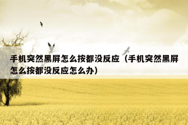 手机突然黑屏怎么按都没反应(手机突然黑屏怎么按都没反应怎么办)