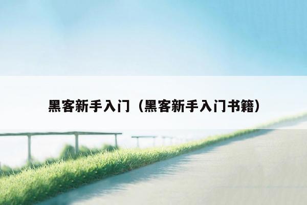 黑客新手入门(黑客新手入门书籍)