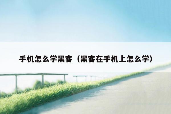 手机怎么学黑客(黑客在手机上怎么学)