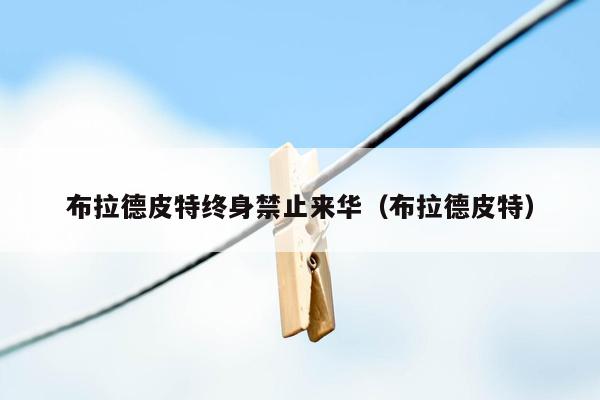 布拉德皮特终身禁止来华(布拉德皮特)
