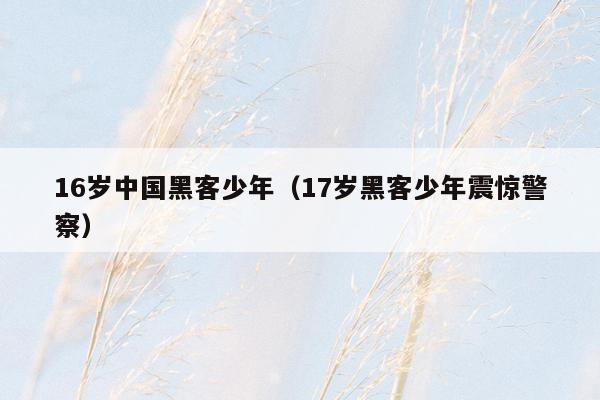 16岁中国黑客少年(17岁黑客少年震惊警察)