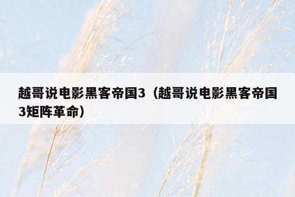 越哥说电影黑客帝国3(越哥说电影黑客帝国3矩阵革命)