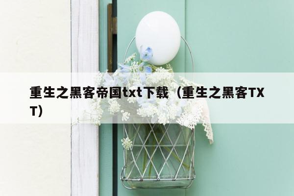 重生之黑客帝国txt下载(重生之黑客TXT)