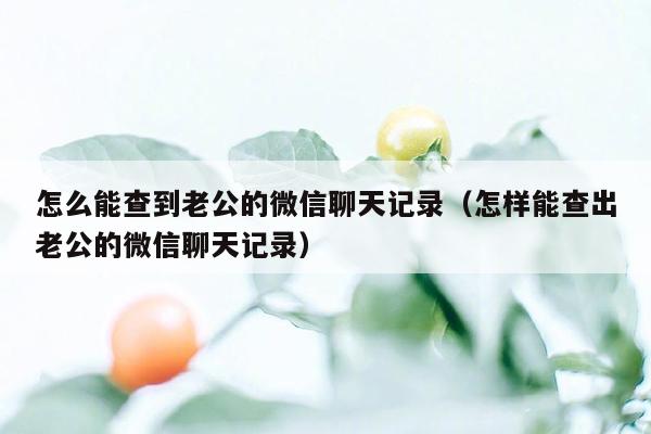 怎么能查到老公的微信聊天记录(怎样能查出老公的微信聊天记录)