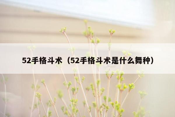 52手格斗术(52手格斗术是什么舞种)