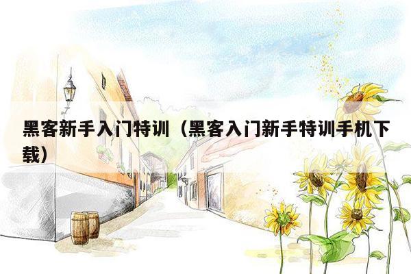 黑客新手入门特训(黑客入门新手特训手机下载)
