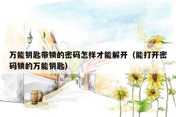 万能钥匙带锁的密码怎样才能解开(能打开密码锁的万能钥匙)