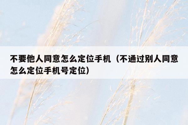 不要他人同意怎么定位手机(不通过别人同意怎么定位手机号定位)