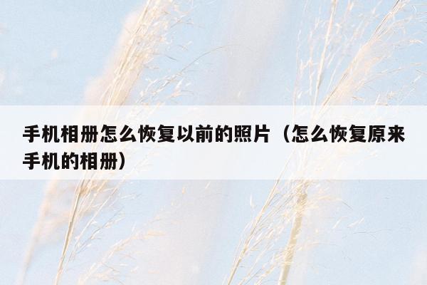 手机相册怎么恢复以前的照片(怎么恢复原来手机的相册)