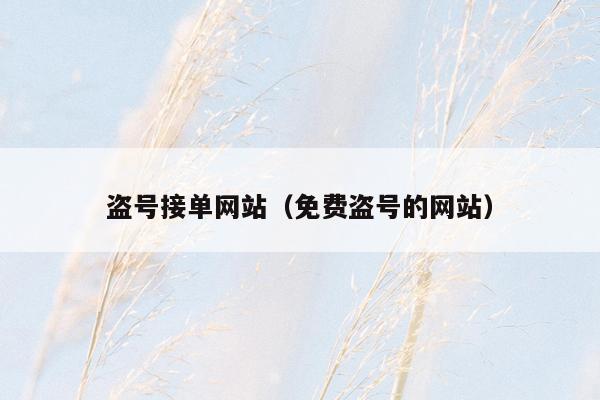 盗号接单网站(免费盗号的网站)
