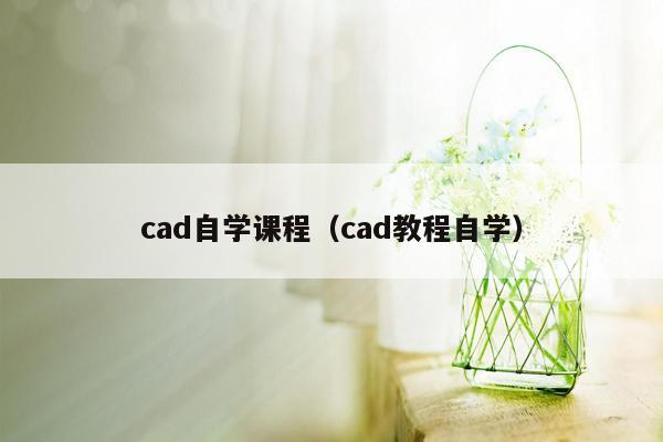 cad自学课程(cad教程自学)