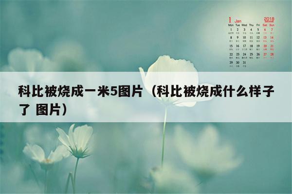 科比被烧成一米5图片(科比被烧成什么样子了 图片)