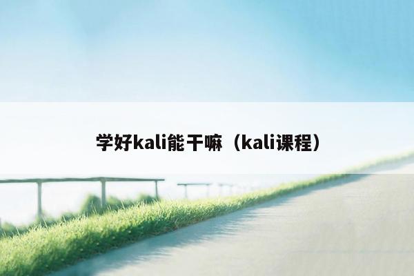 学好kali能干嘛(kali课程)