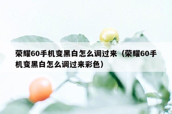荣耀60手机变黑白怎么调过来(荣耀60手机变黑白怎么调过来彩色)
