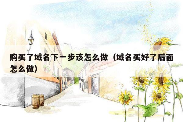 购买了域名下一步该怎么做(域名买好了后面怎么做)