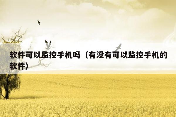软件可以监控手机吗(有没有可以监控手机的软件)