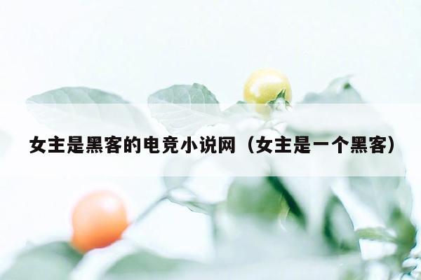 女主是黑客的电竞小说网(女主是一个黑客)