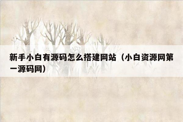 新手小白有源码怎么搭建网站（小白资源网第一源码网）