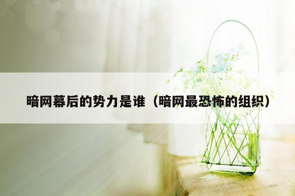 暗网幕后的势力是谁（暗网最恐怖的组织）