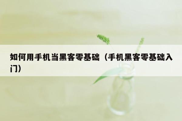 如何用手机当黑客零基础(手机黑客零基础入门)