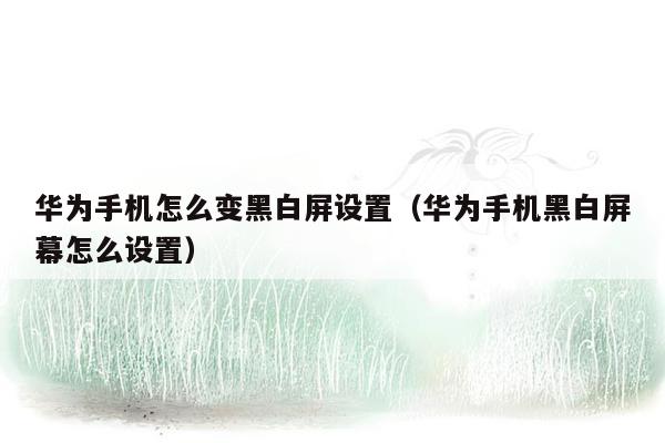 华为手机怎么变黑白屏设置(华为手机黑白屏幕怎么设置)