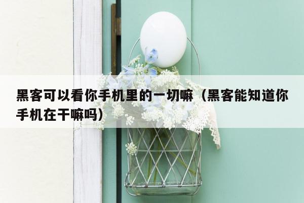 黑客可以看你手机里的一切嘛(黑客能知道你手机在干嘛吗)