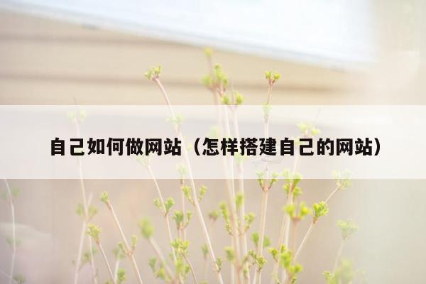 自己如何做网站(怎样搭建自己的网站)