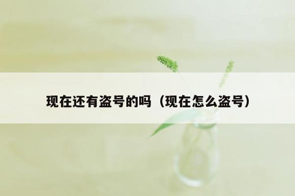 现在还有盗号的吗(现在怎么盗号)