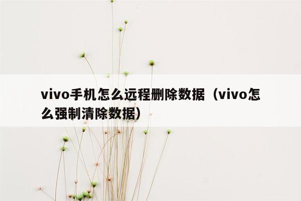 vivo手机怎么远程删除数据(vivo怎么强制清除数据)