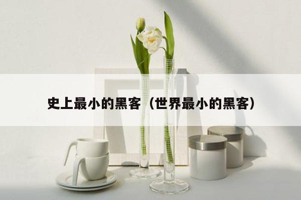 史上最小的黑客(世界最小的黑客)