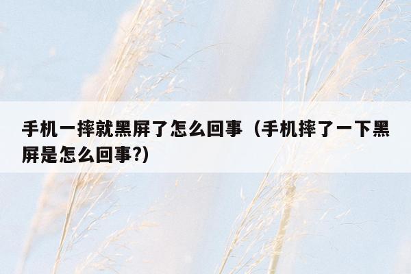 手机一摔就黑屏了怎么回事(手机摔了一下黑屏是怎么回事?)