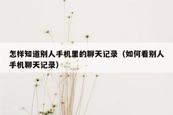 怎样知道别人手机里的聊天记录(如何看别人手机聊天记录)