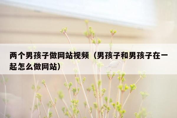 两个男孩子做网站视频(男孩子和男孩子在一起怎么做网站)