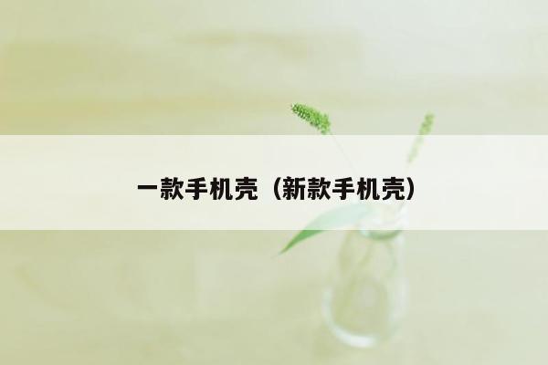 一款手机壳(新款手机壳)