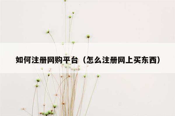 如何注册网购平台(怎么注册网上买东西)