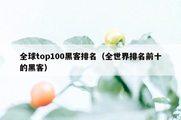 全球top100黑客排名(全世界排名前十的黑客)