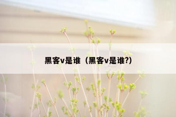黑客v是谁(黑客v是谁?)