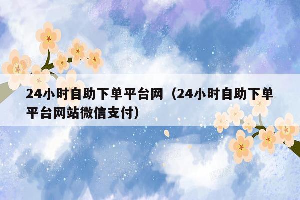 24小时自助下单平台网(24小时自助下单平台网站微信支付)